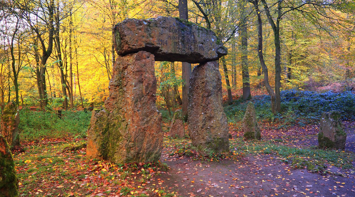 stone structure in the middle of a forest with autumn leaves
